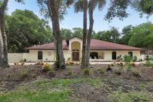 2575 Glen Dr, NEW SMYRNA BEACH 2575 Glen Dr, NEW SMYRNA BEACH
