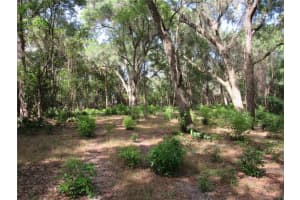 Oak Valley Dr, DELAND Oak Valley Dr, DELAND