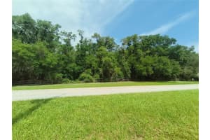 Seabiscuit Trail, DELAND
