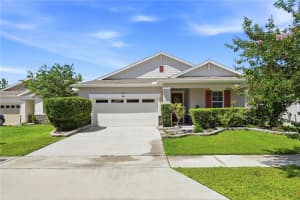4005 Swan Goose Ct, OKAHUMPKA 4005 Swan Goose Ct, OKAHUMPKA