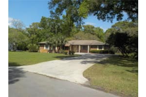 11220 Blackwood Dr, NEW PORT RICHEY 11220 Blackwood Dr, NEW PORT RICHEY