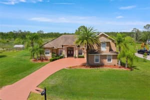 8131 Spring Forest Ln, WESLEY CHAPEL