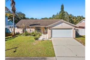 12708 Trucious Pl, TAMPA