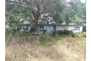 31033 Eloian Dr, ZEPHYRHILLS 31033 Eloian Dr, ZEPHYRHILLS