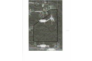 0 Royal Palm Ave, NEW PORT RICHEY 0 Royal Palm Ave, NEW PORT RICHEY