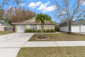 5911 Bitterwood Ct, TAMPA