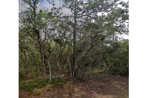 10 Milbark Dr, HOMOSASSA