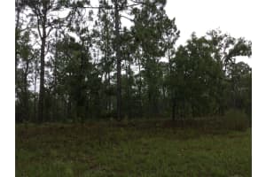 2191 W Citrus Springs Blvd, DUNNELLON