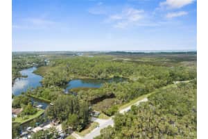 0 Marys Fish Camp Rd, SPRING HILL