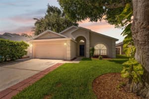 6803 Silver Branch Ct, TAMPA 6803 Silver Branch Ct, TAMPA