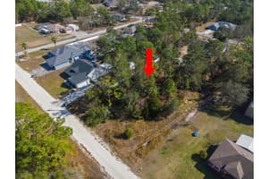0 Day Owl Ave, WEEKI WACHEE