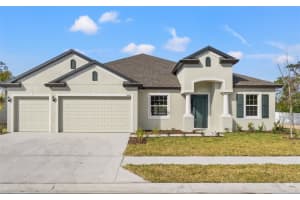 14421 Nonna Sky Drive Dr, SPRING HILL