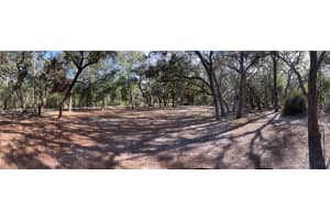 16347 Albright Rd, SPRING HILL