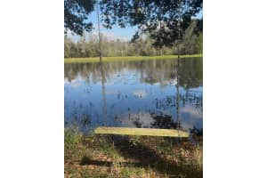 Pumpkin Path, BROOKSVILLE