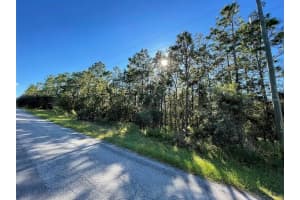 16 Mayten Ct N, HOMOSASSA