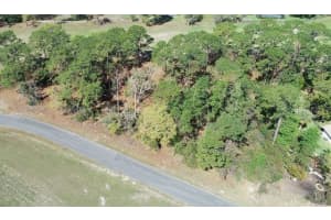 5339 Keysville Ave, SPRING HILL