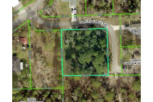 0 Purple Galinule Ave, BROOKSVILLE