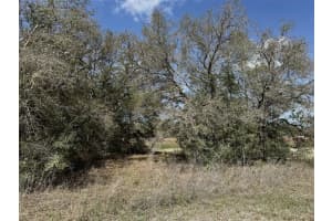 0 Courlan Rd, BROOKSVILLE