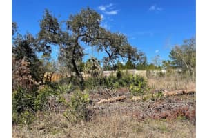 16883 Dry Tortugas Run, HUDSON