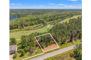 20044 English Walnut Pl, BROOKSVILLE