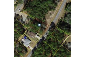 9561 N Travis Dr, DUNNELLON