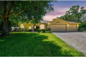 18502 Winding Oaks Blvd, HUDSON