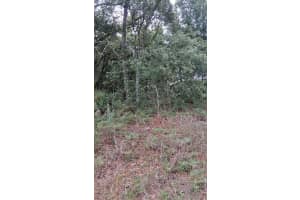 5887 / 5899 N Bedstrow Blvd, DUNNELLON