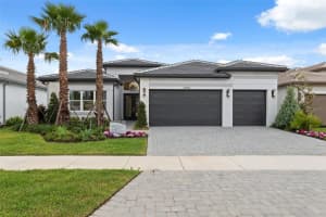 3915 Corsica Pl, WESLEY CHAPEL