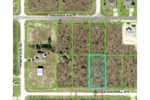 Scissorbill Ave, BROOKSVILLE