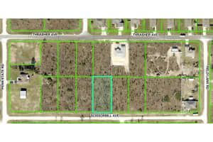 Scissorbill Ave, BROOKSVILLE