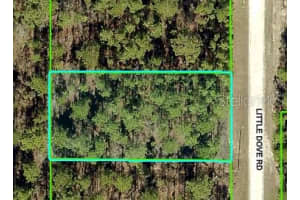 16433 Little Dove Rd, WEEKI WACHEE