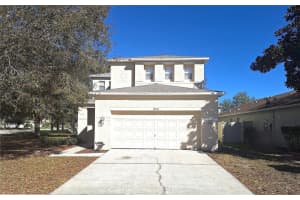 19551 Timberbluff Dr, LAND O LAKES