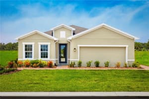 454 Hammock Oaks Blvd, LADY LAKE