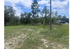 Nusser Ave, WEEKI WACHEE