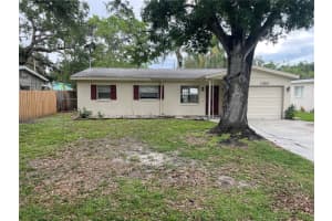 1355 Davis Rd, DUNEDIN