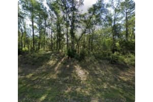 8965 N Lily Dr, DUNNELLON