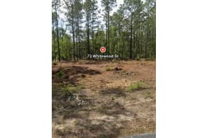 73 Whitewood St, HOMOSASSA