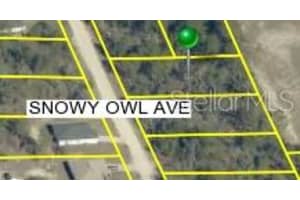 0 Snowy Owl Ave, BROOKSVILLE