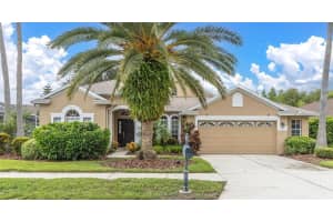 8729 Torchwood Dr, TRINITY