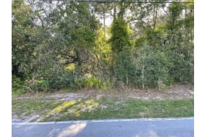 8217 Nightingale Rd, WEEKI WACHEE