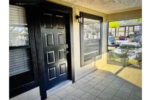 14736 Norwood Oaks Dr #103, TAMPA