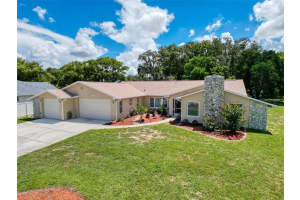 2124 Little Peach Ct, SPRING HILL