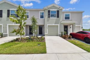 17253 Amber Aspen Way, LAND O LAKES