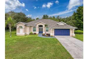 18933 Black Gum Ct, HUDSON