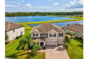18292 Roseate Dr, LUTZ