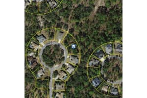 29 Black Willow Ct N, HOMOSASSA