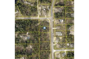 Nightwalker Rd, WEEKI WACHEE