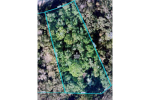 14388 Chimney Swift Rd, WEEKI WACHEE