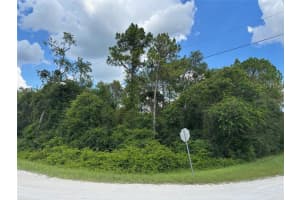 Lot 1 Canvasback Rd, BROOKSVILLE