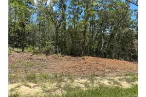 955 W Hampshire Blvd, CITRUS SPRINGS